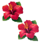 Tropical Vibrant Red Hawaiian Hibiscus Botanical Flower Breast Pasties