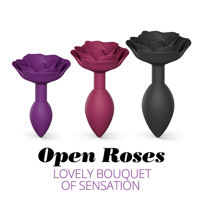 ROSES OUVERTES M - ÉTOILE DE PLUME