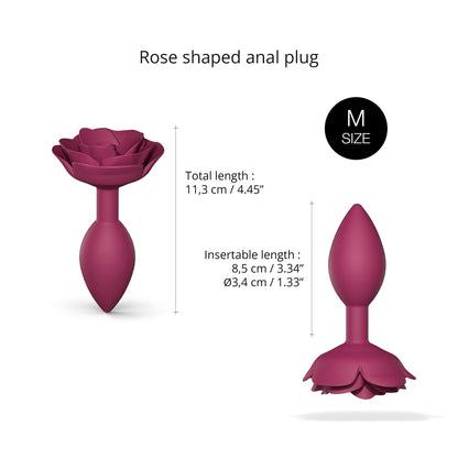 ROSES OUVERTES M - ÉTOILE DE PLUME