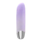 Playboy Bunny Bunch thick bullet
