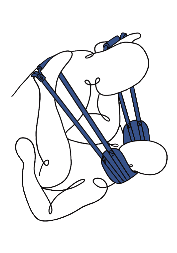 Sangle pour chien Pivot Deluxe